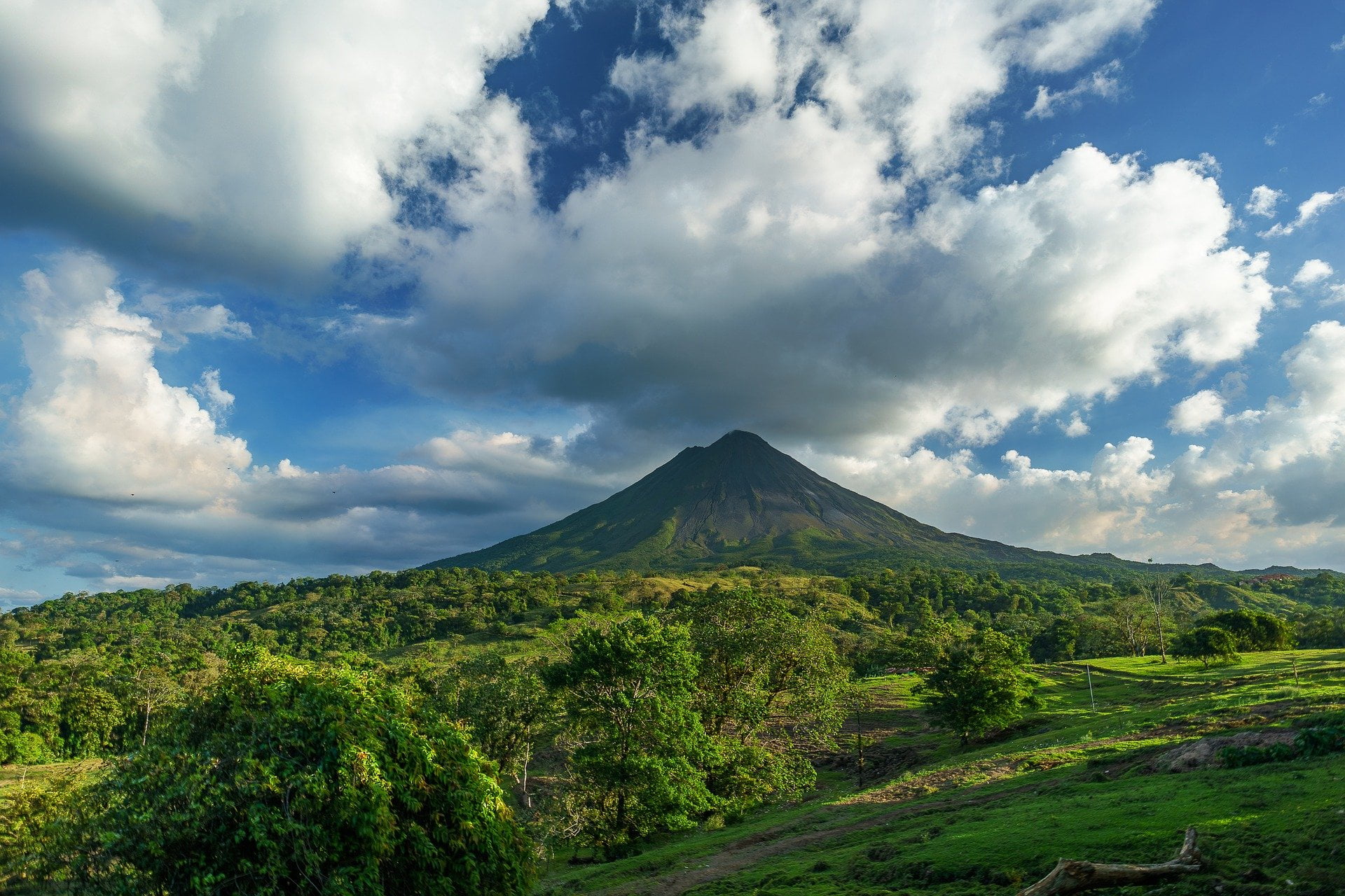 PCR tests in Arenal